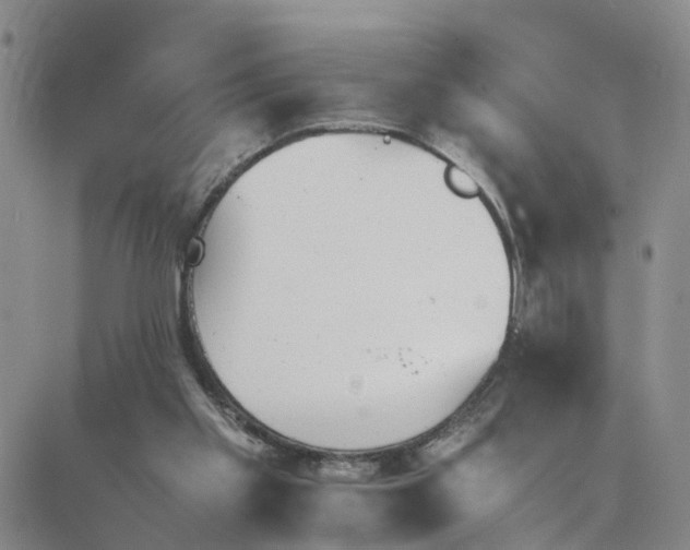 X0000089710109200706210926