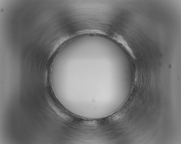 X0000089710110200706210926