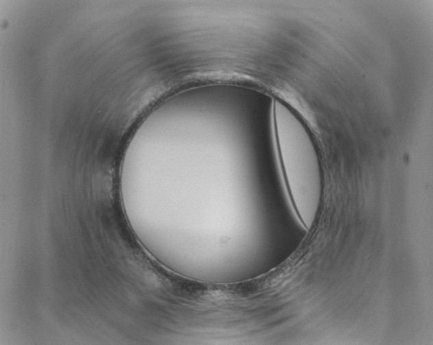 X0000089710111200706210926