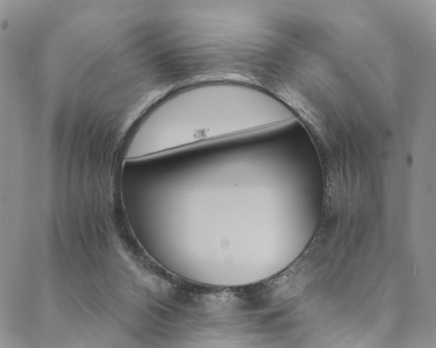 X0000089710112200706210926