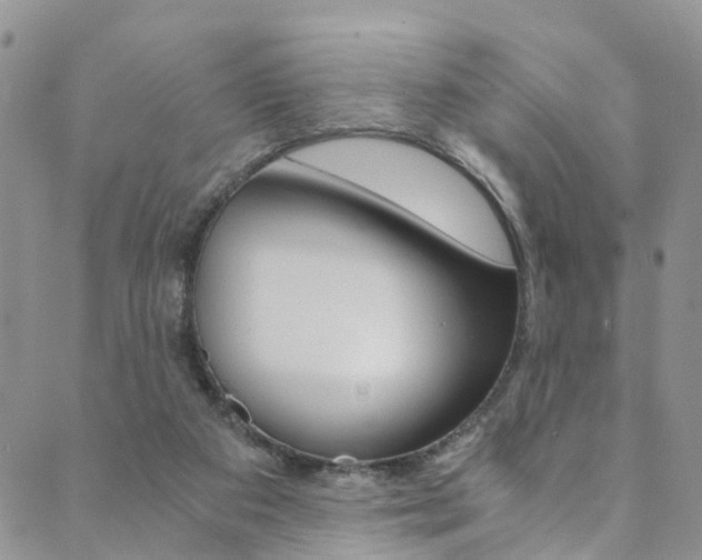 X0000089710113200706210926