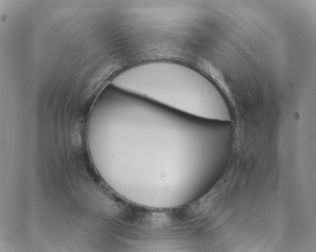 X0000089710114200706210926