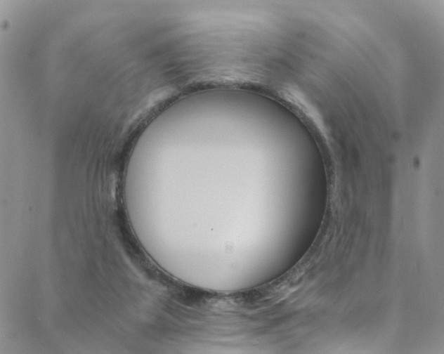 X0000089710115200706210926