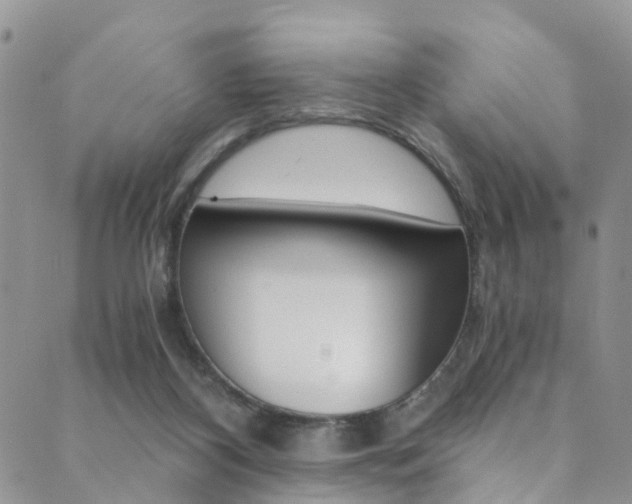 X0000089710116200706210926