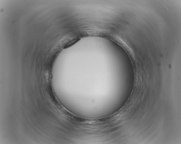 X0000089710117200706210926