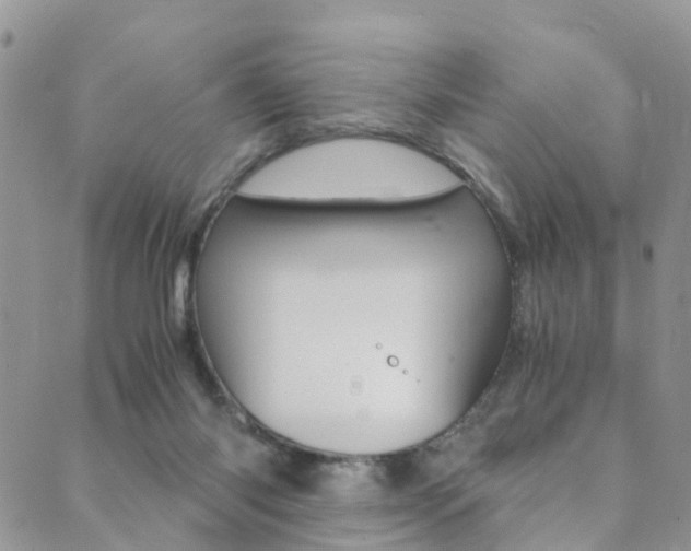 X0000089710118200706210926