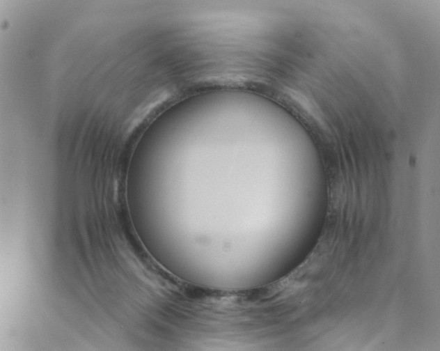 X0000089710120200706210925