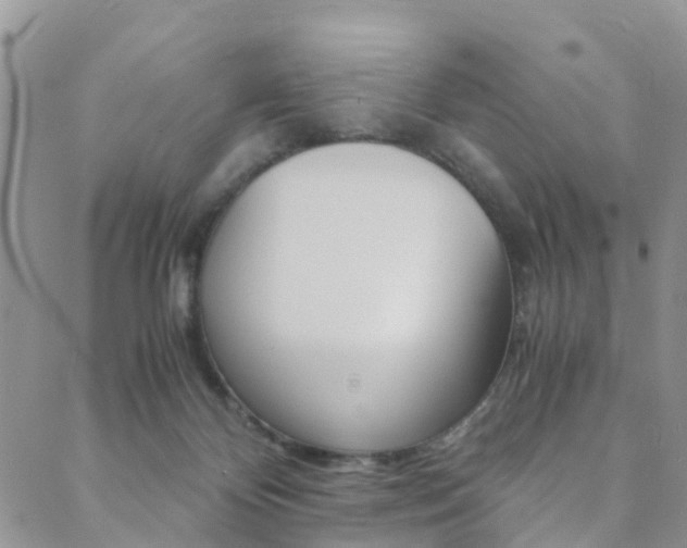 X0000089710124200706210925