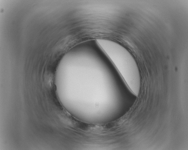 X0000089710125200706210925