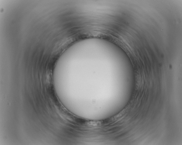 X0000089710126200706210925