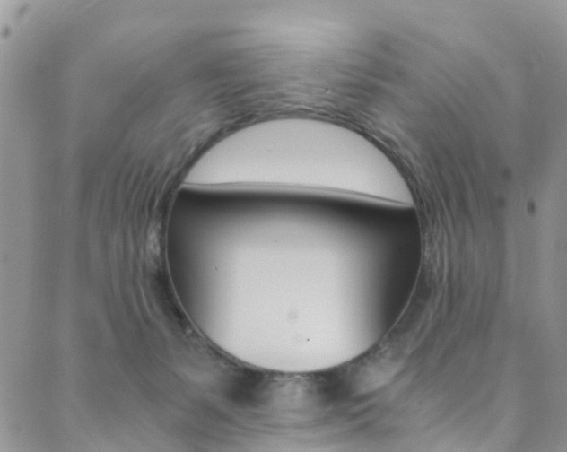 X0000089710127200706210925