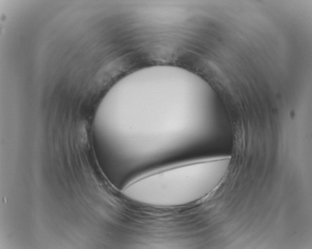 X0000089710128200706210925