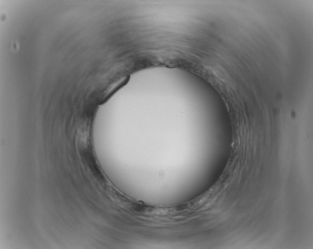 X0000089710129200706210925