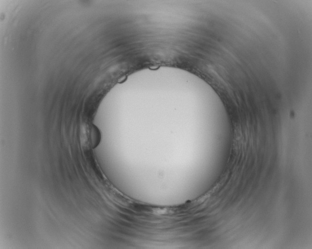 X0000089710130200706210925