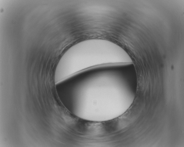 X0000089710132200706210925