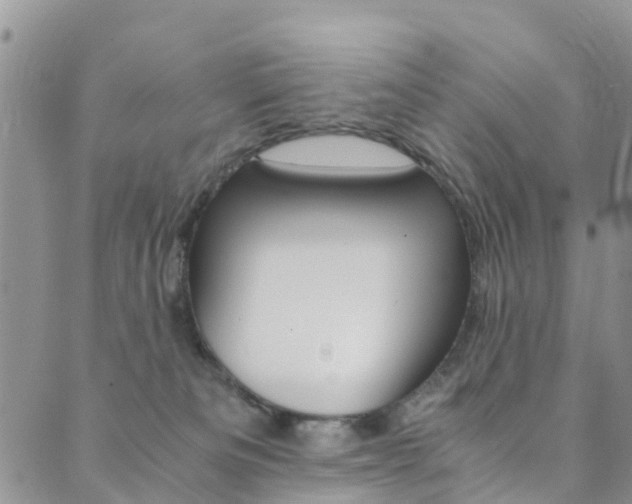 X0000089710133200706210925