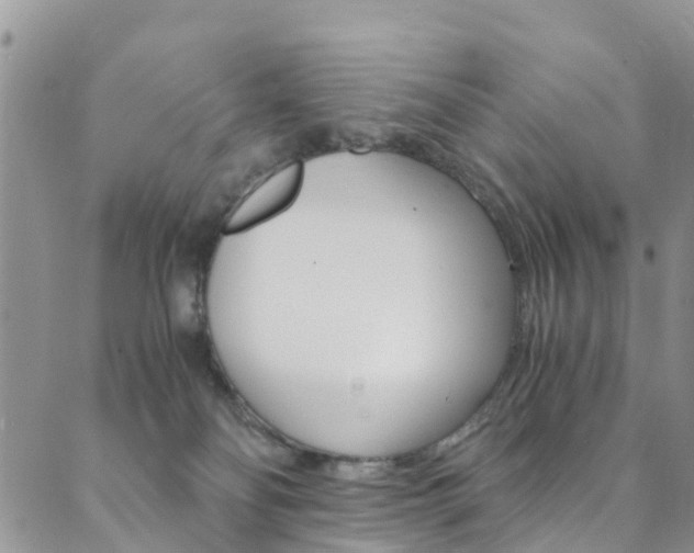 X0000089710134200706210925