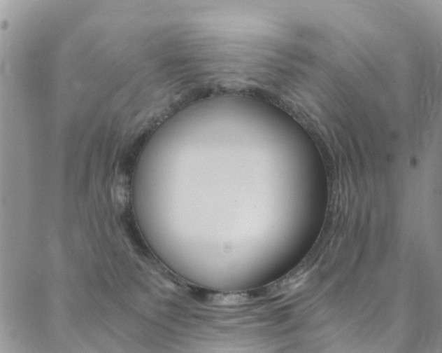 X0000089710135200706210925