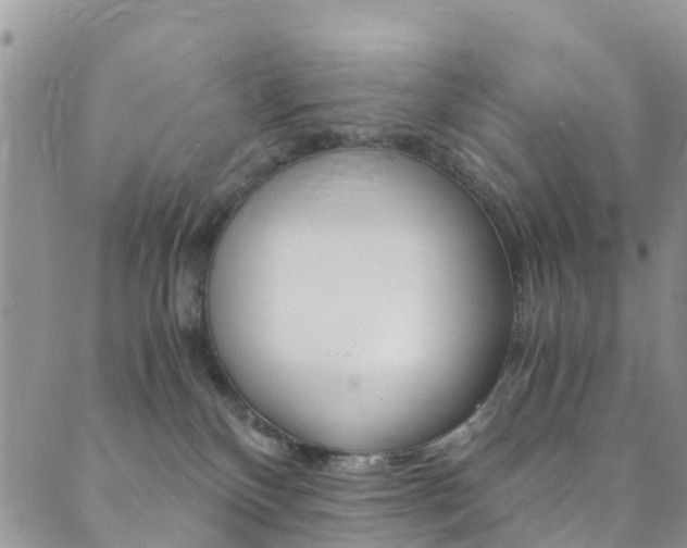 X0000089710136200706210925