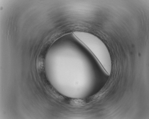 X0000089710137200706210925