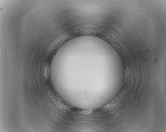 X0000089710138200706210925