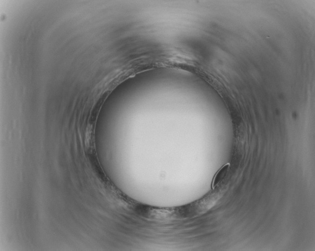 X0000089710139200706210925