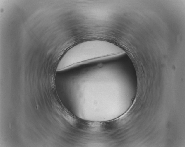 X0000089710144200706210925