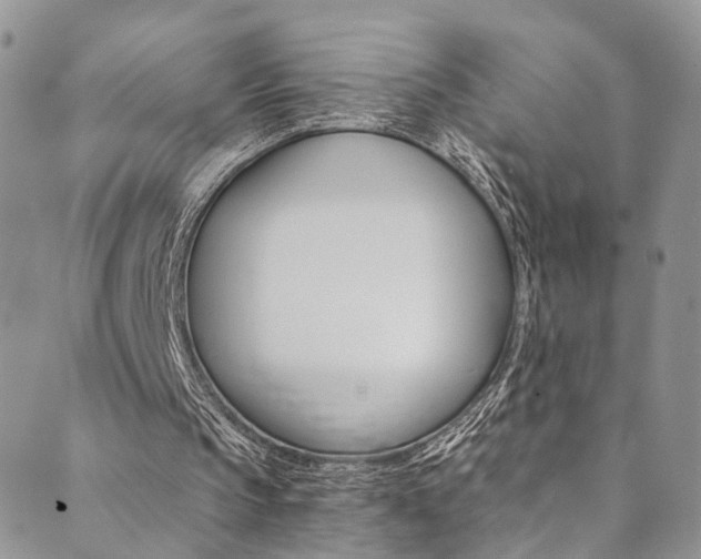 X0000089710145200706210924