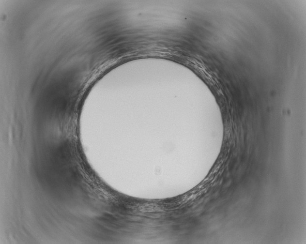 X0000089710146200706210924