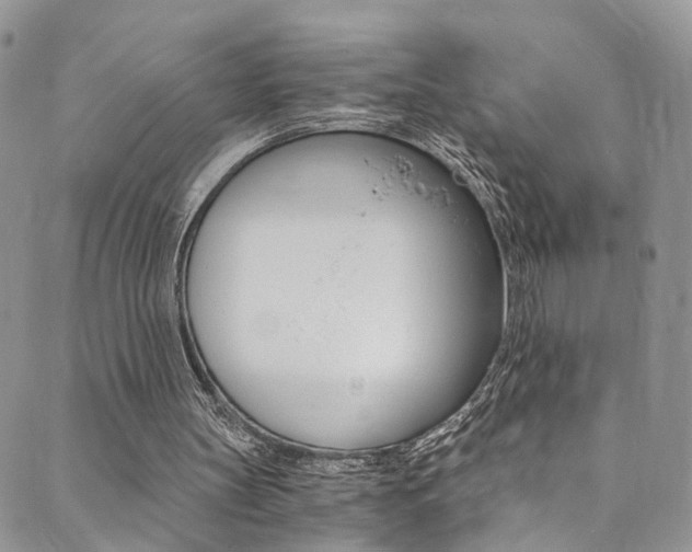 X0000089710147200706210924