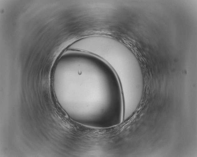 X0000089710148200706210924