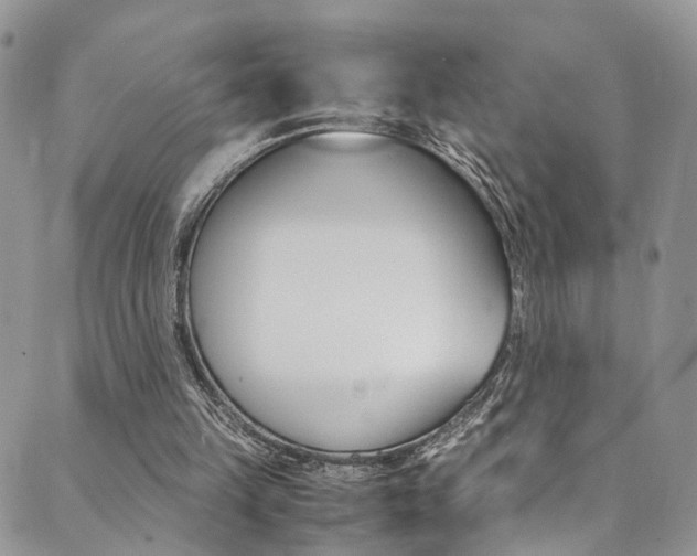 X0000089710149200706210924