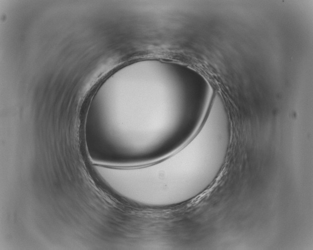 X0000089710150200706210924