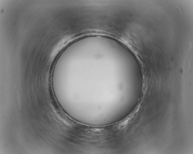 X0000089710151200706210924