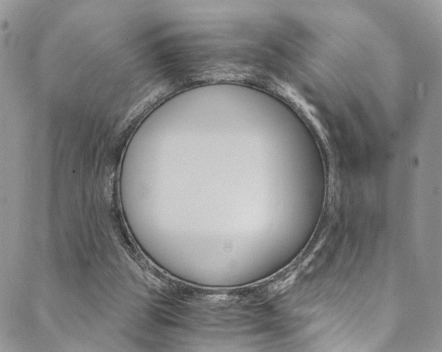 X0000089710153200706210924