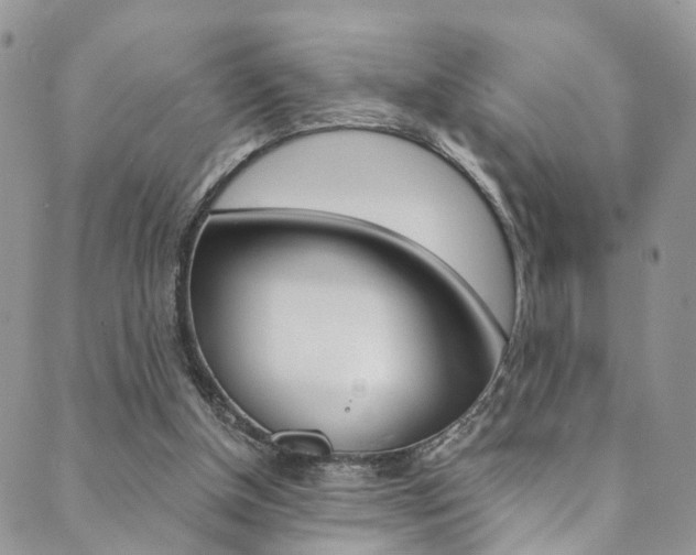 X0000089710154200706210924