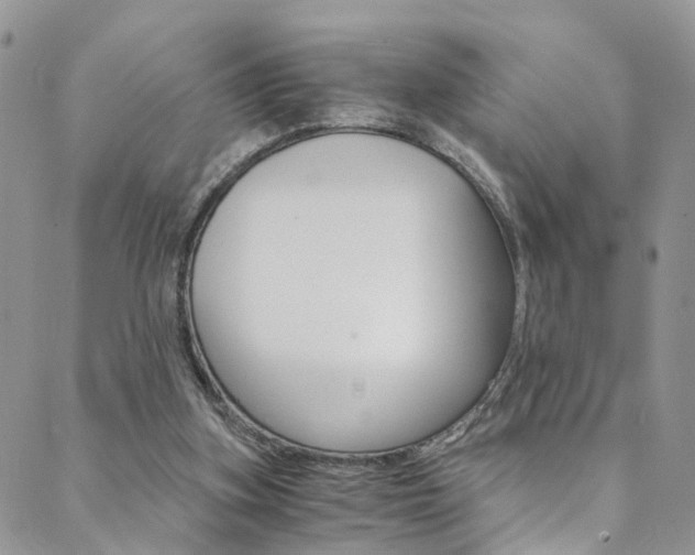 X0000089710155200706210924