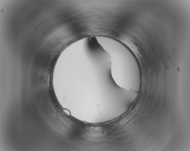 X0000089710157200706210925