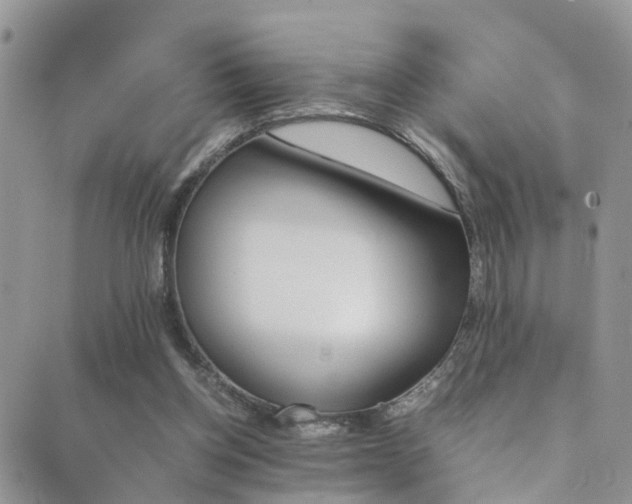 X0000089710158200706210925