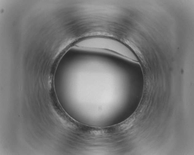 X0000089710160200706210925