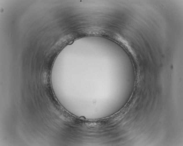 X0000089710161200706210925