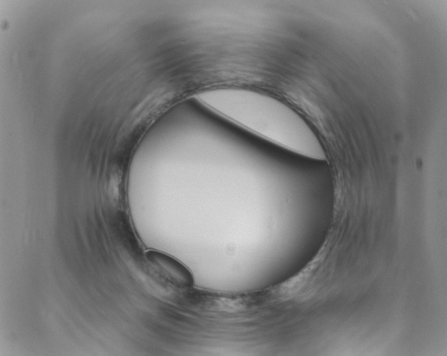 X0000089710166200706210925