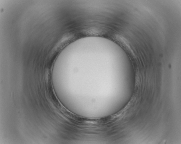 X0000089710167200706210925