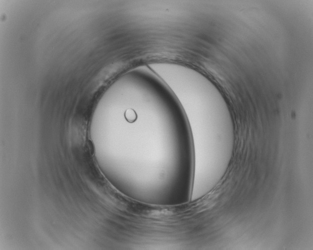 X0000089710168200706210925