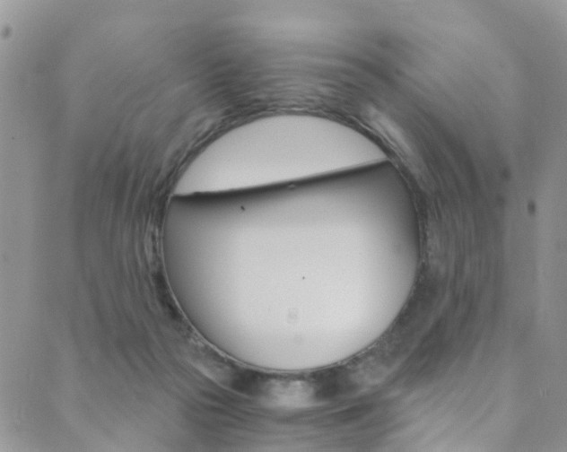 X0000089710169200706210925