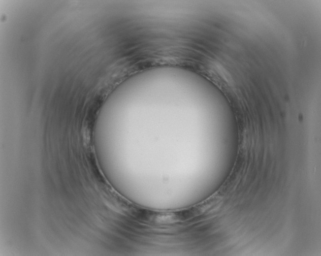 X0000089710173200706210925