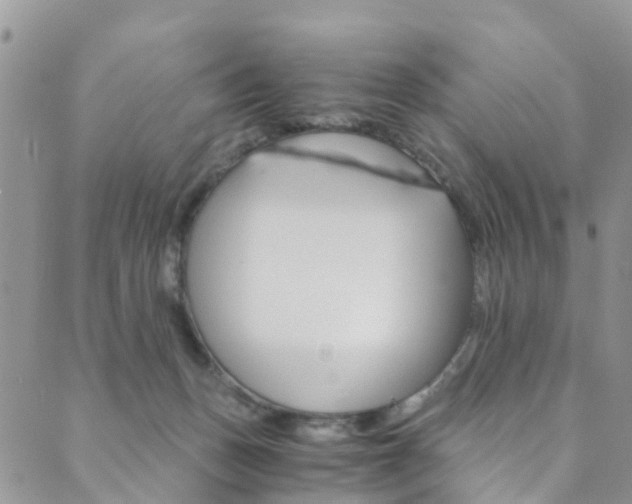 X0000089710175200706210925