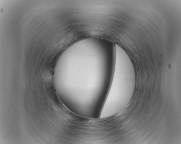 X0000089710176200706210925