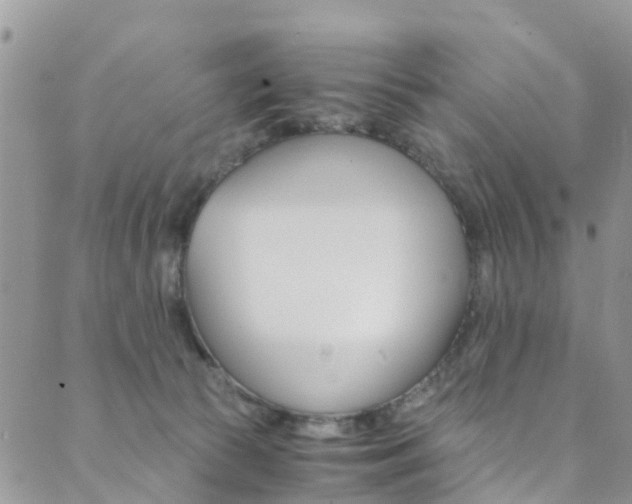 X0000089710177200706210925