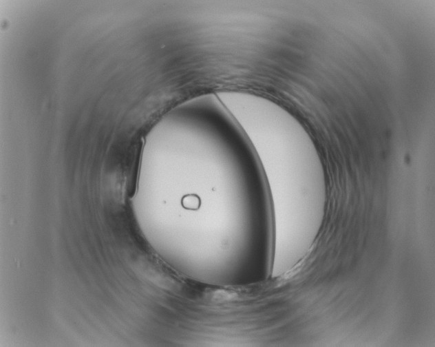 X0000089710180200706210925